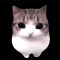 강건2