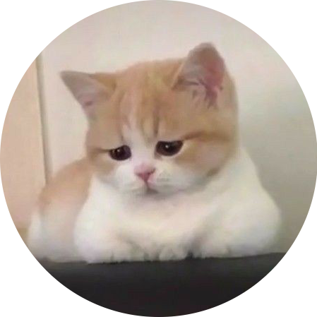 한야옹1