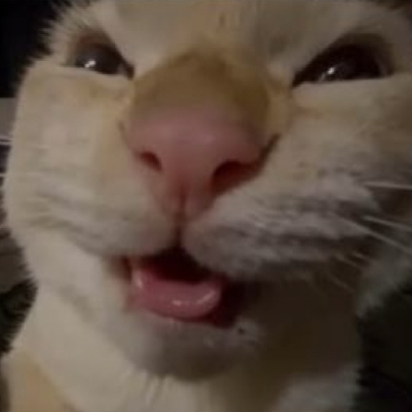 무헤헤냥이