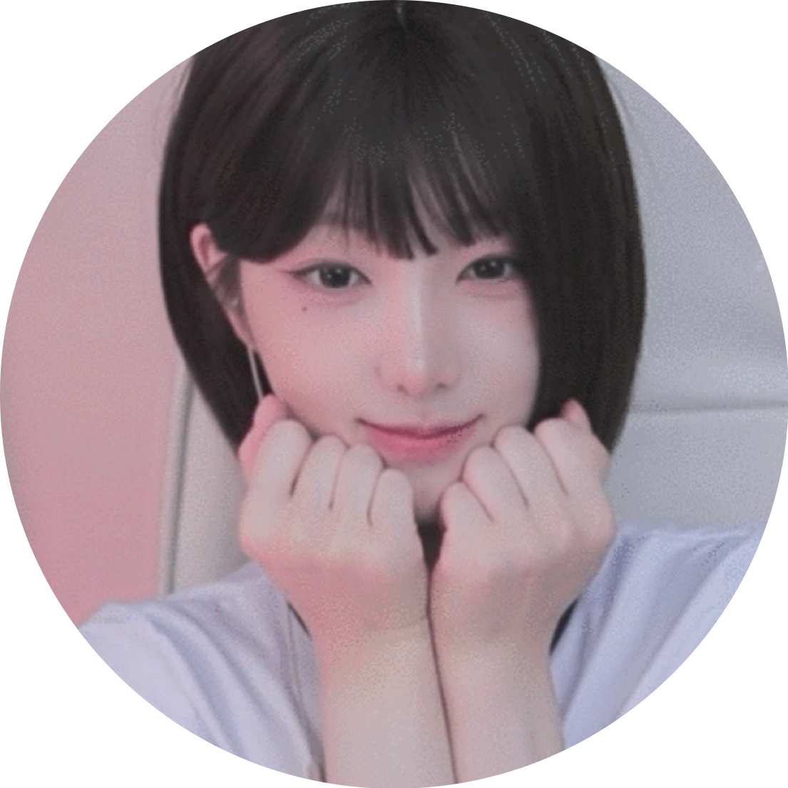 주콩콩