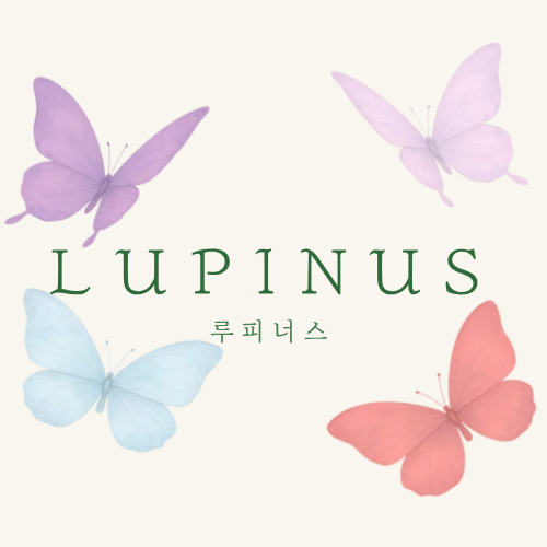 루피너스 LUPINUS