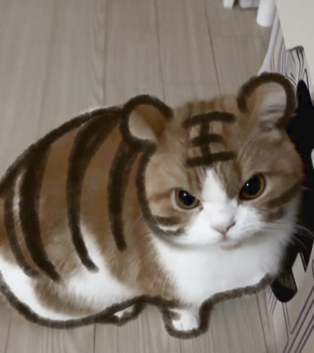 빨래악마