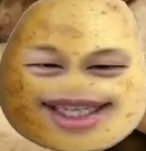 왕왕감자빵