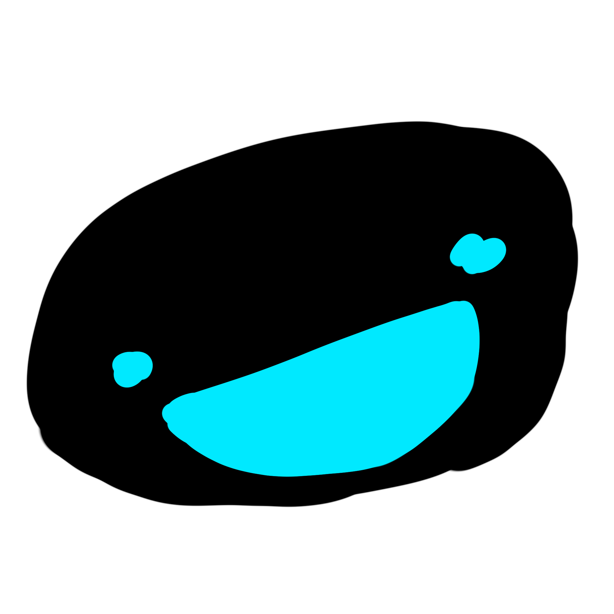 ED정하루