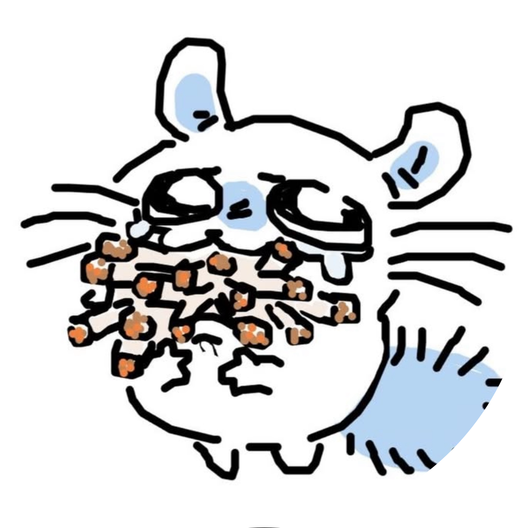 심심띠혜