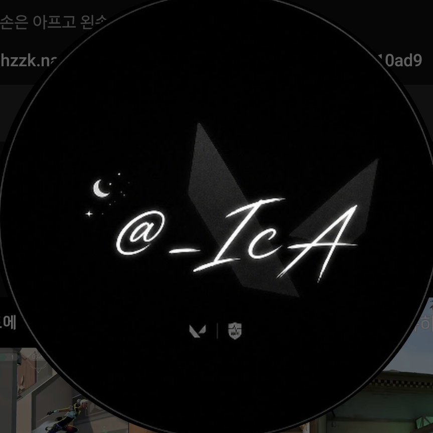 이카 IcA