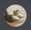 치즈볶음밥밥