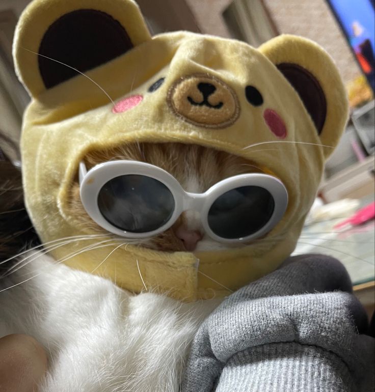 Ka2sy