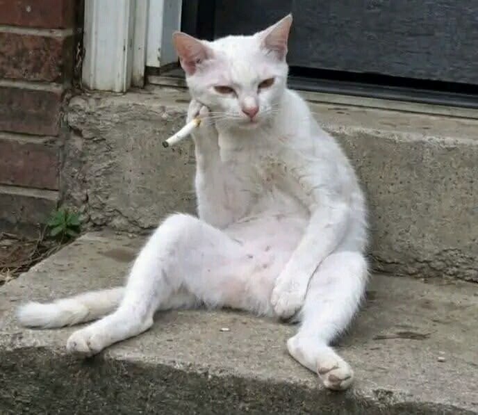 카트이민재