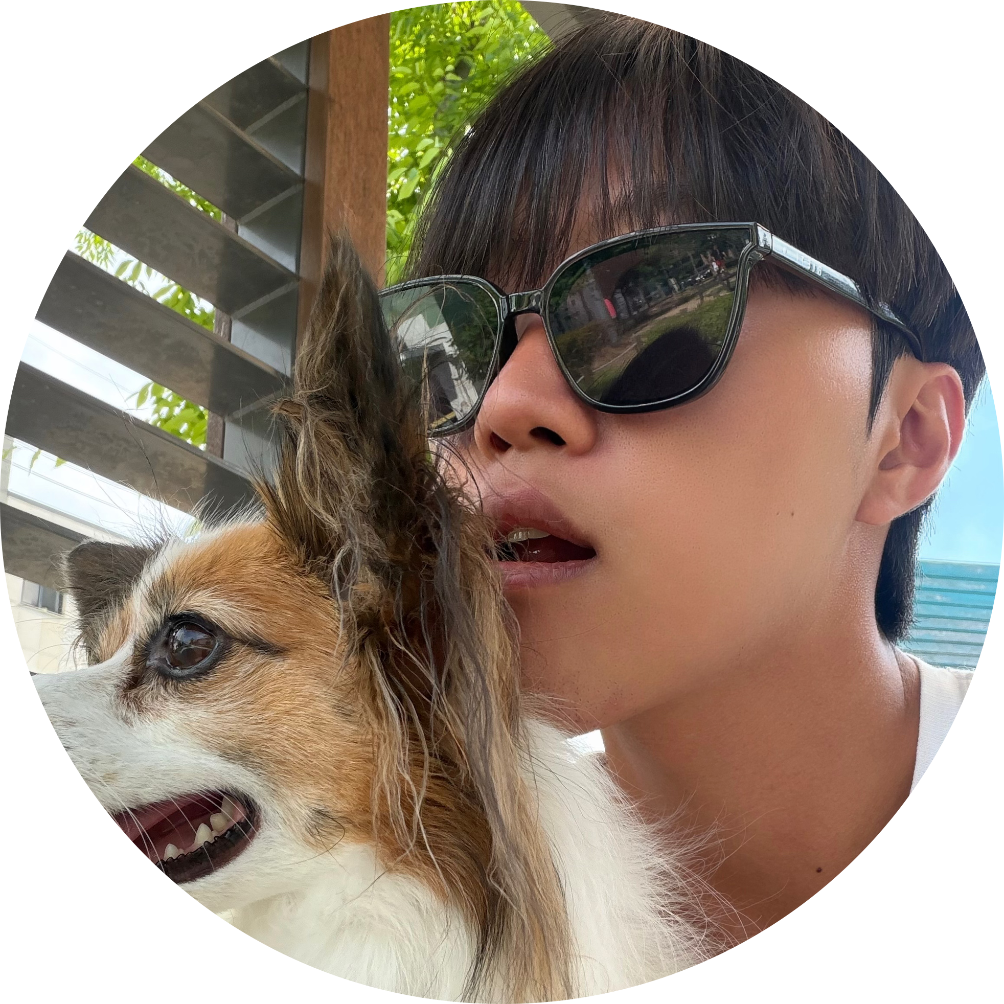 근접임미다