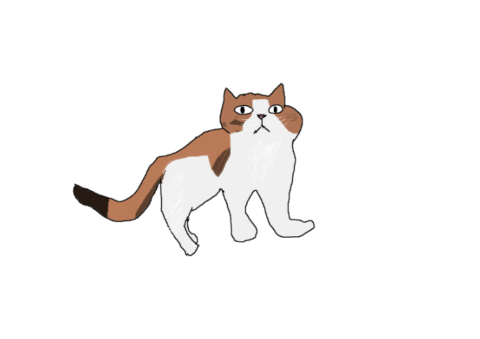 차27
