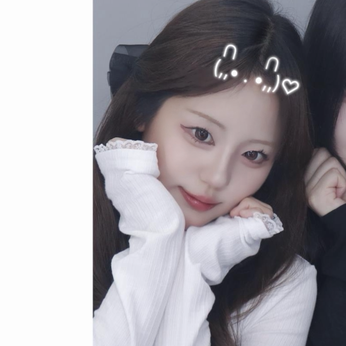 설아다냥