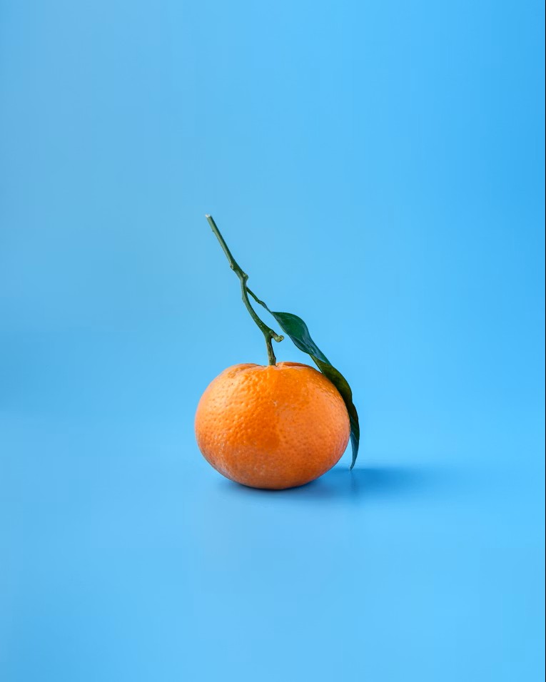 바다감귤