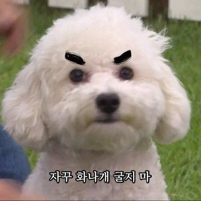 갓민준