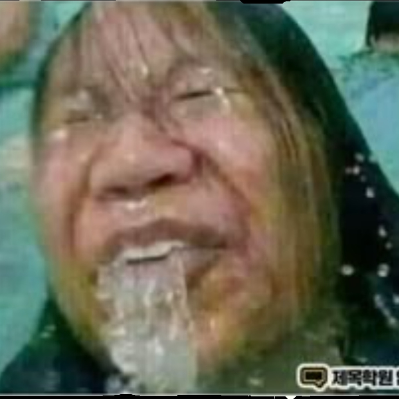 재미니취팔로마