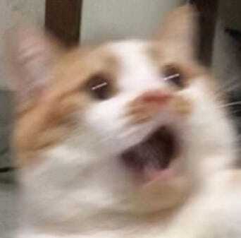 설짛ㅎ
