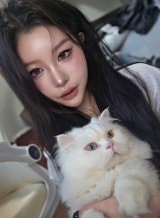 차 태이 채널 프로필