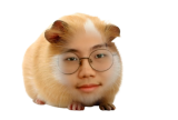 쟁구임 채널 프로필