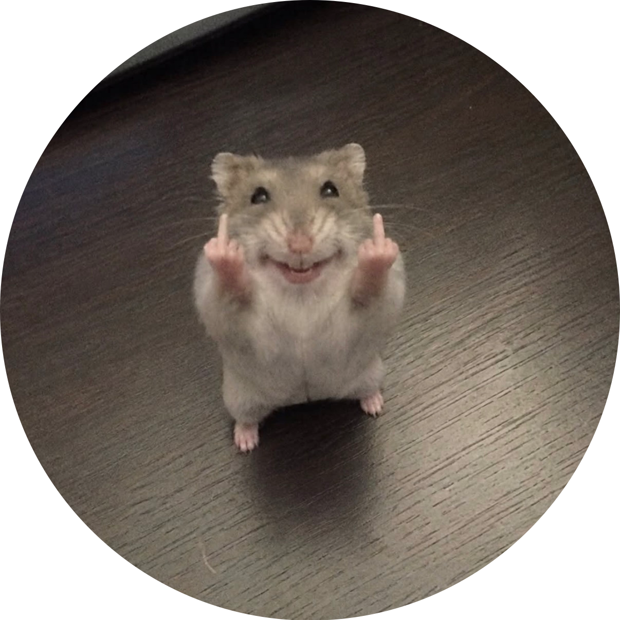 모예찬 채널 프로필
