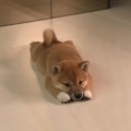 임혁 채널 이미지