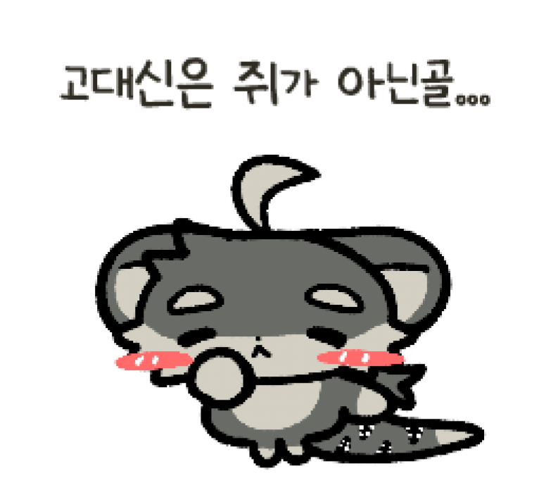 쿠루테 채널 프로필