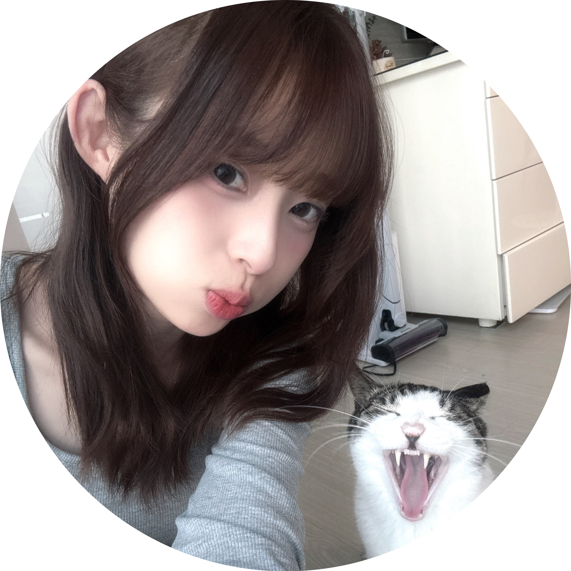 민쟁이 채널 프로필