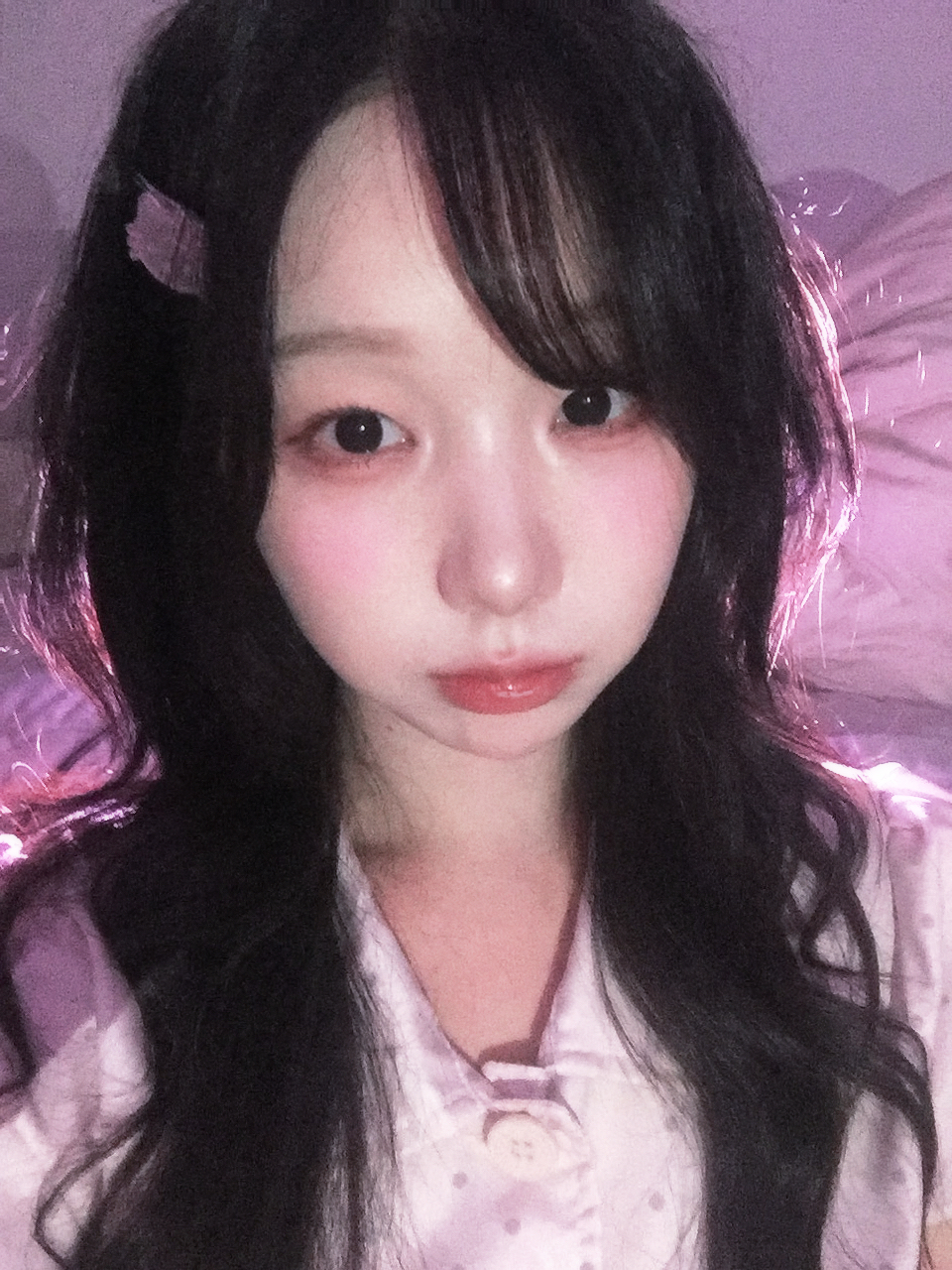 보나 김팔복 채널 프로필