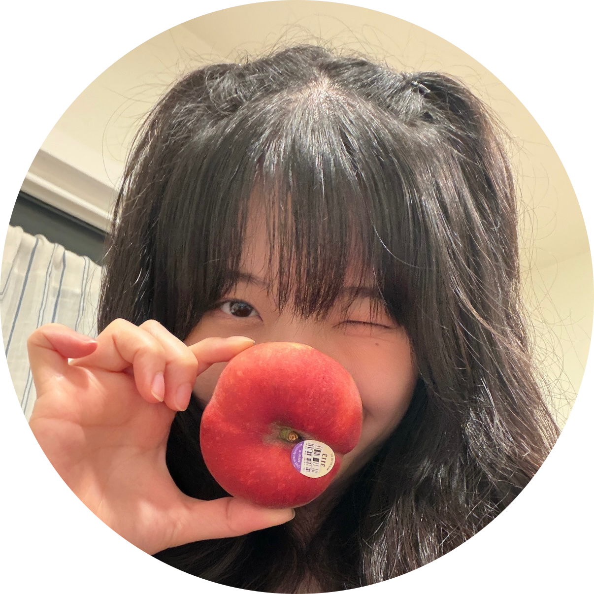 초 사 채널 프로필