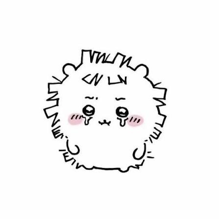 이싱 채널 프로필