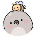 아카시아 0