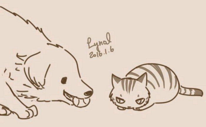 말못하는 개냥2