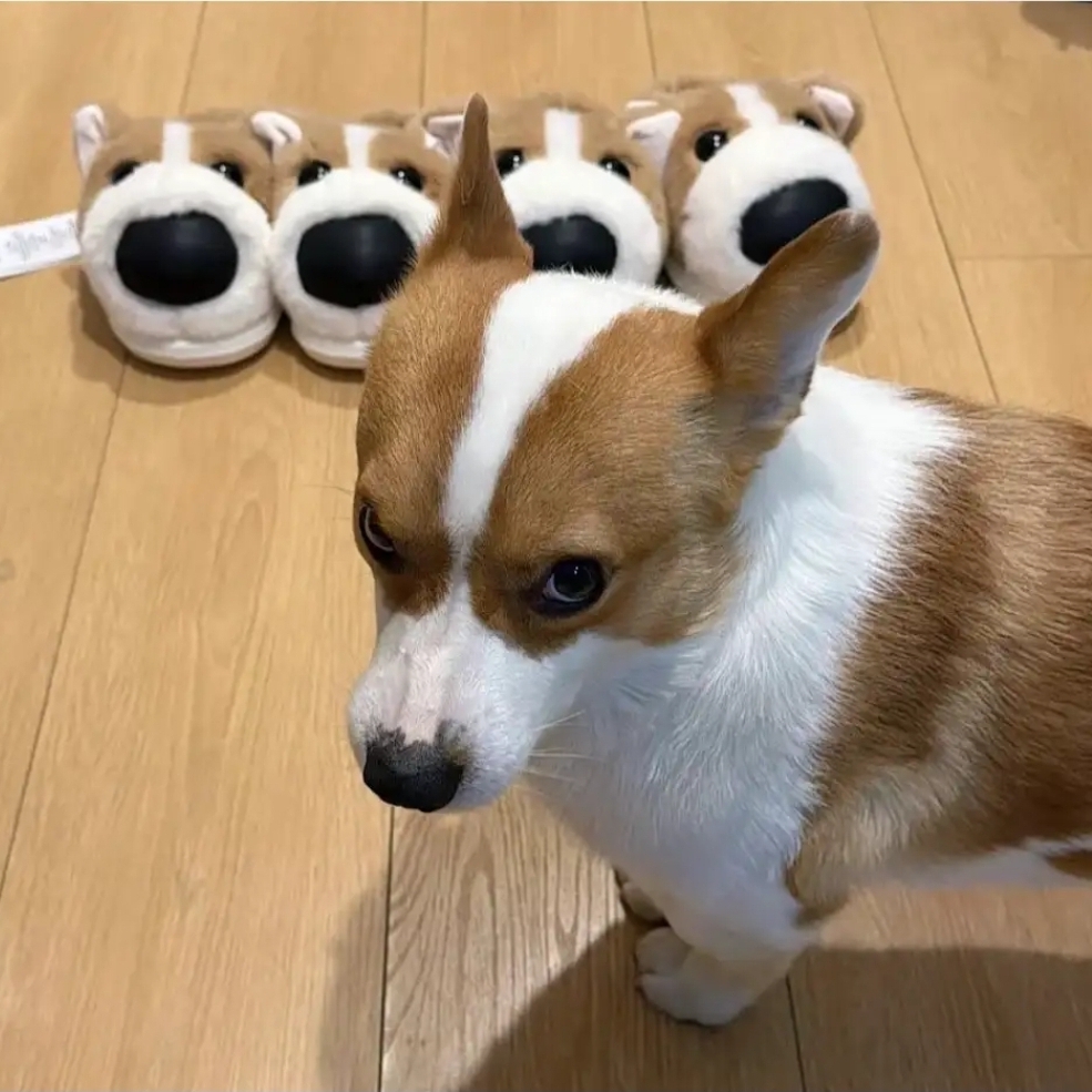 냐아악