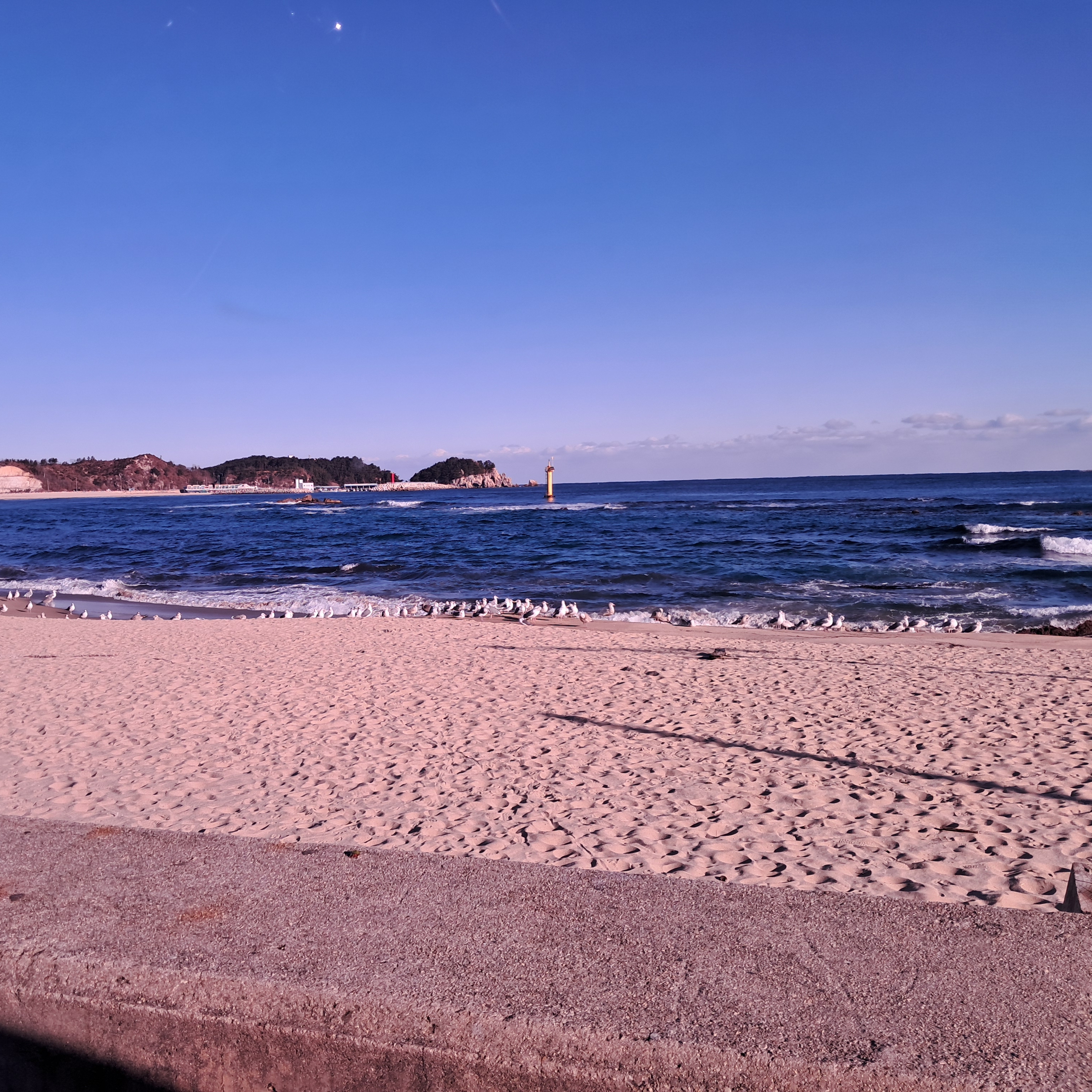 Boss백석무사랑8581