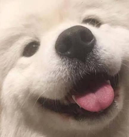 윤멈머