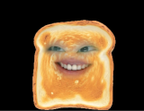 l쏘갈l 채널 프로필