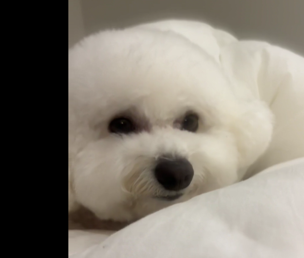 우성호1
