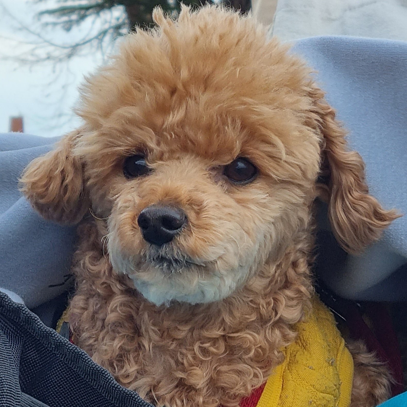 준민이에요