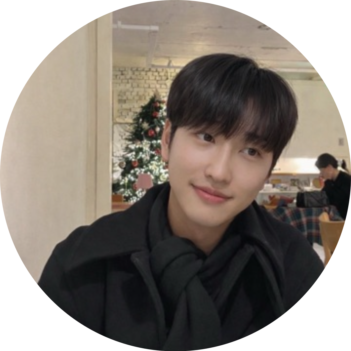 베로니카인디용