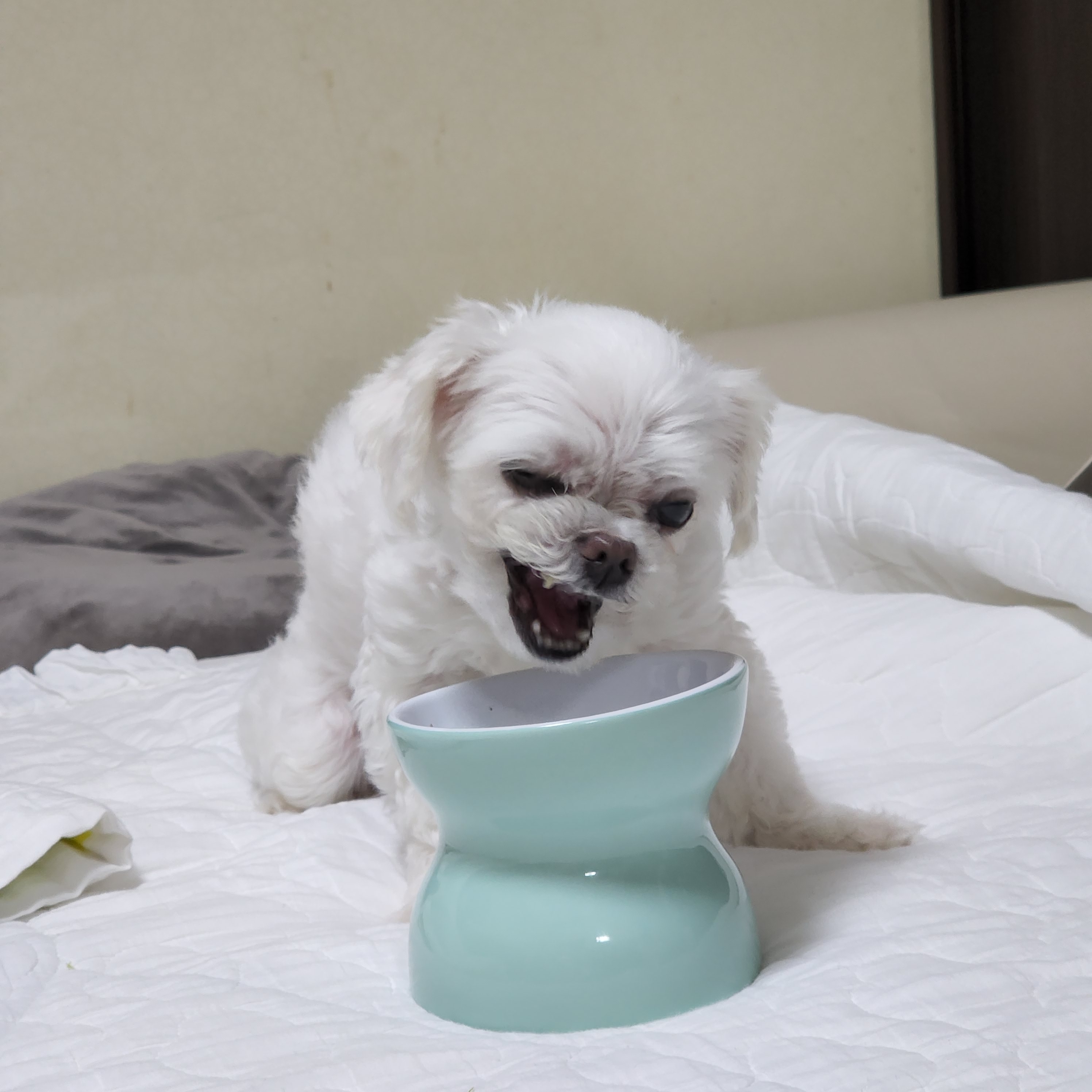 실례지만어데김씨