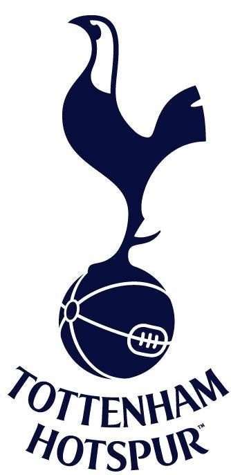 토트넘 응원하는 사람