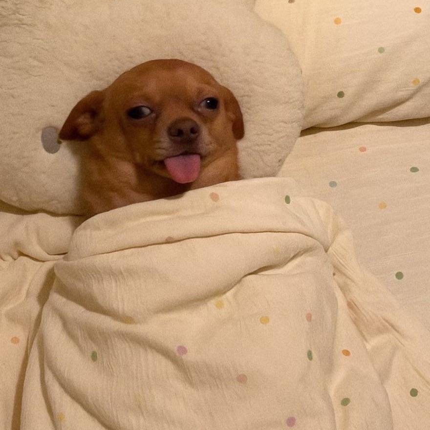 104세김춘식할배