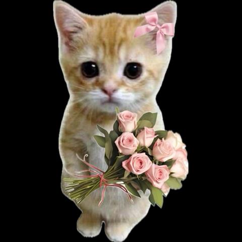 청담동술주정잼민이