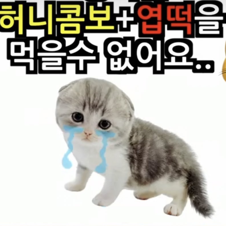멤 모