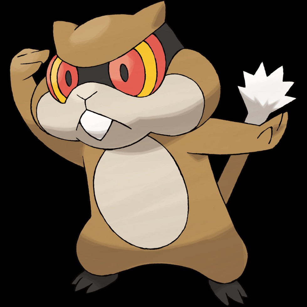 보르쥐는햄스터