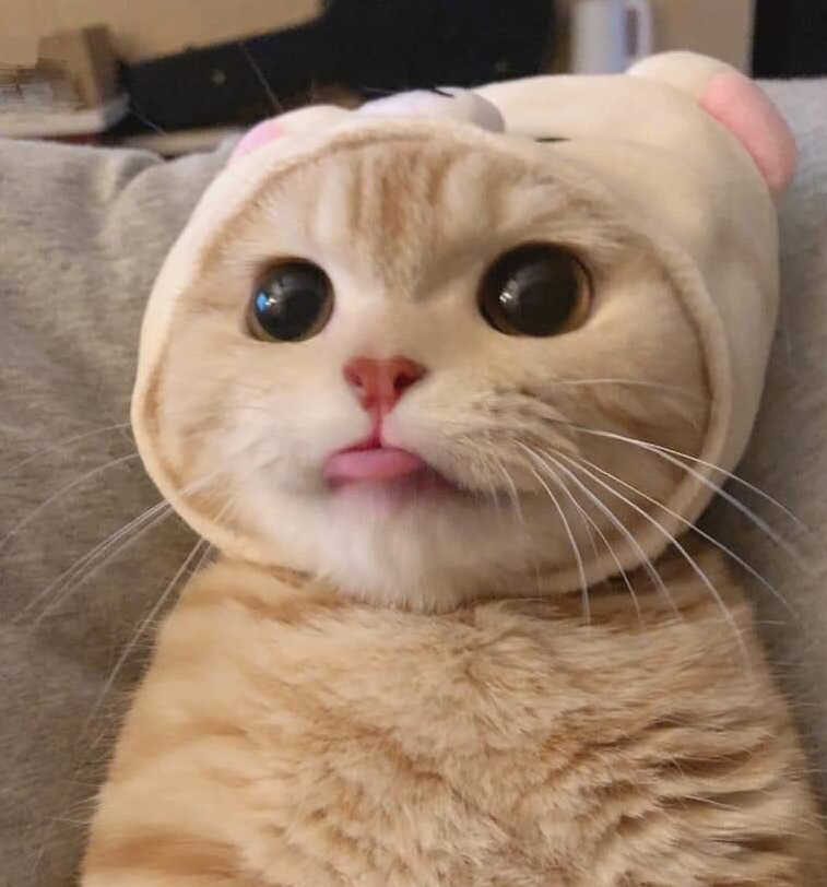 민이입니다