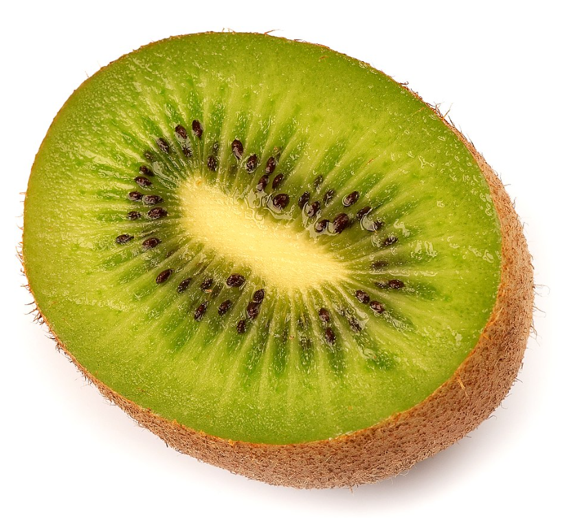 천상의 삼촌 1798