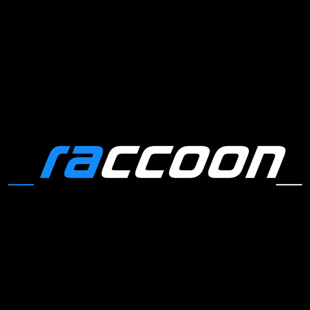 raccoon라쿤
