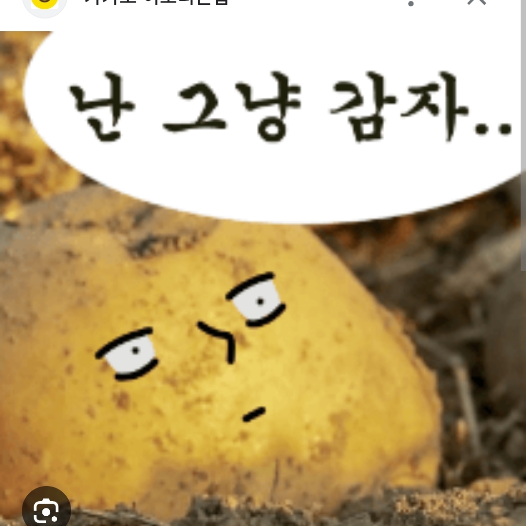 버그난감자