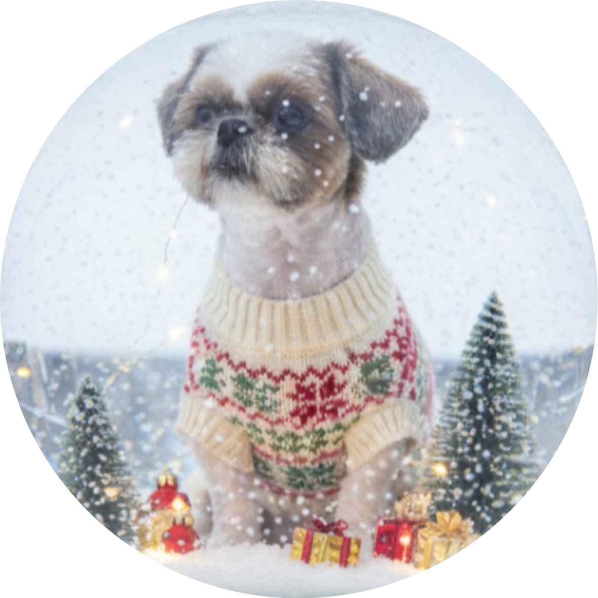 일라일라일오이