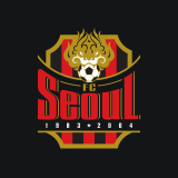 FC 서울 채널 프로필